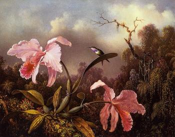 馬丁 約翰遜 赫德 Orchids and Hummingbird